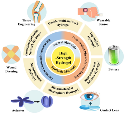 西工大黃河源、王文智/西安交大趙鑫 Nano Res.:高強度水凝膠的制備策略、增強機制與未來挑戰
